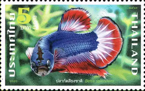 Fighting Fish (II) -C 13 1/4:13 1/2- (MNH)