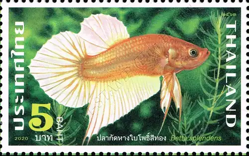 Fighting Fish (II) -C 13 1/4:13 1/2- (MNH)