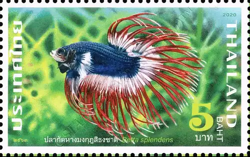 Fighting Fish (II) -C 13 1/4:13 1/2- (MNH)