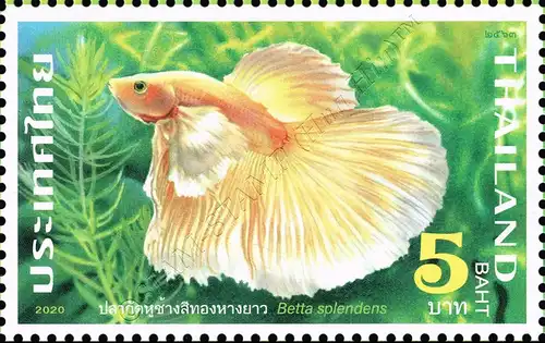 Fighting Fish (II) -C 13 1/4:13 1/2- (MNH)