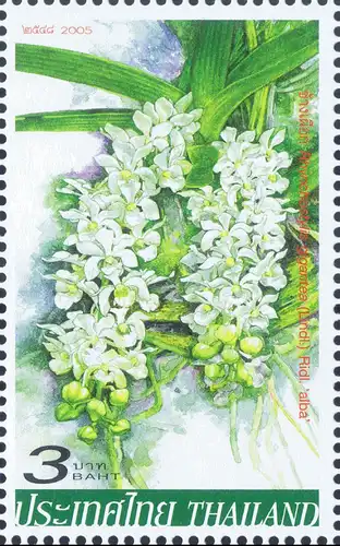 Orchids (IV) -MAXIMUM CARDS MC(I)-