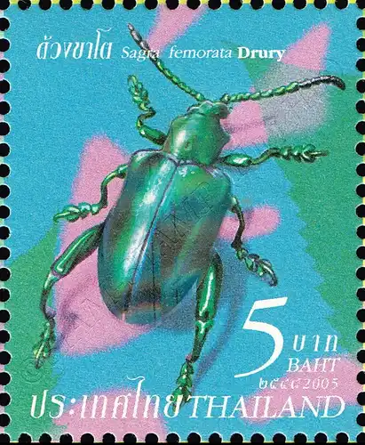 Insects (III) -ZD(I)- (MNH)
