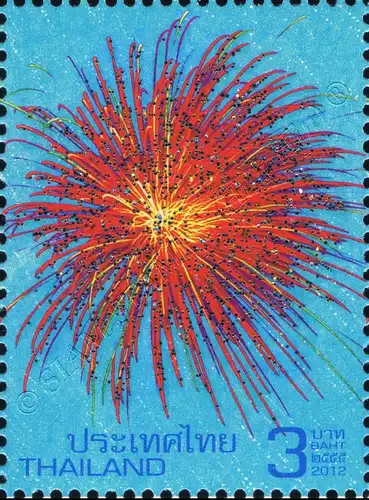 New Year 2013: Fireworks (MNH)