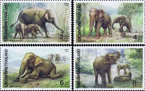 Indian Elephant (MNH)