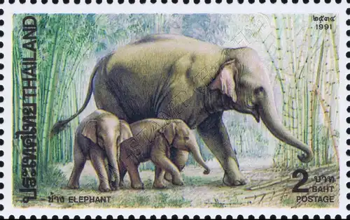 Indian Elephant (MNH)