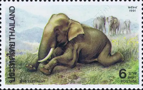 Indian Elephant (MNH)