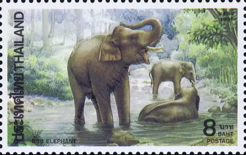 Indian Elephant (MNH)