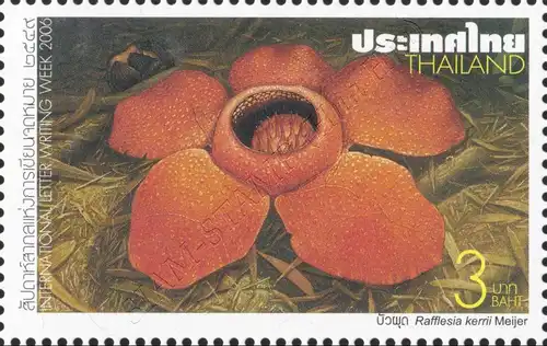 Intern. Letter Week 2006: Carnivorous Plants & Rafflesia (MNH)