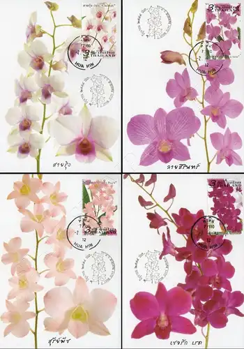 Orchid: Dendrobium Varieties -MAXIMUM CARDS MC(I)-