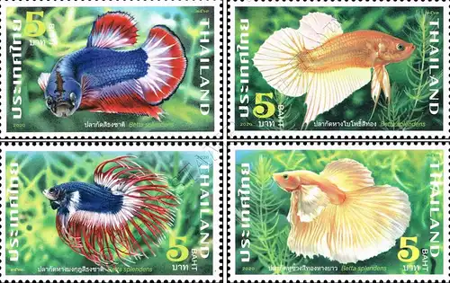 Fighting Fish (II) -A 13 1/4- (MNH)