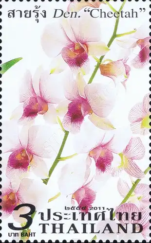 5th Orchid Exhibition, Bangkok (265I) -FOLDER (I)- (MNH)