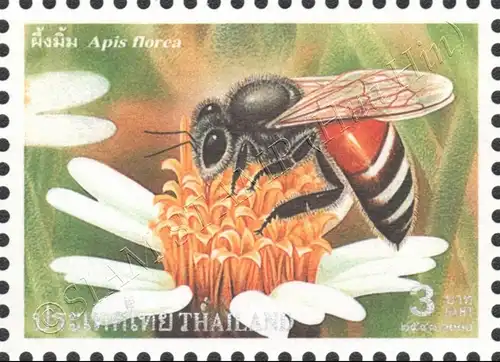 7th International Conference on Tropical Honeybees (MNH)
