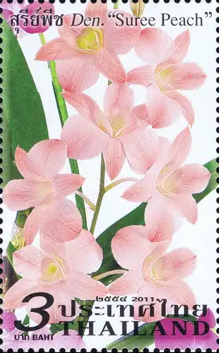 Orchid: Dendrobium Varieties (MNH)