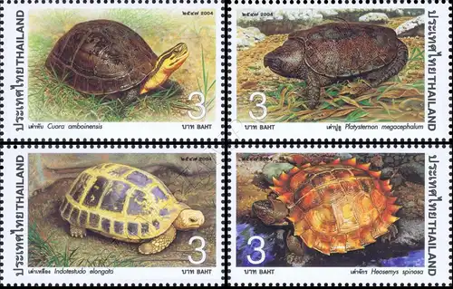 Turtle (MNH)