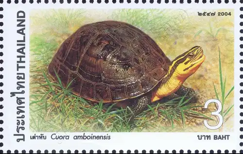 Turtle (MNH)