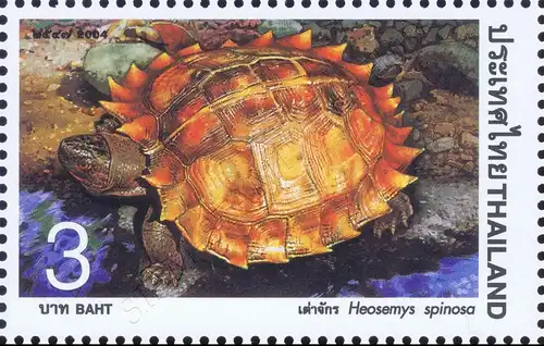 Turtle (MNH)