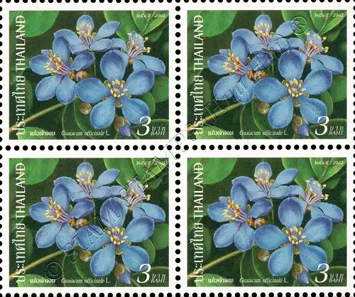 New Year (XV): Flowers -BLOCK OF 4- (MNH)