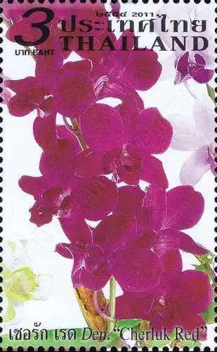 PERSONALIZED SHEET: Orchid - Dendrobium Varieties CHIANG MAI -PS(19)- (MNH)