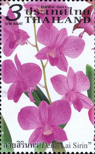 PERSONALIZED SHEET: Orchid - Dendrobium Varieties CHIANG MAI -PS(19)- (MNH)