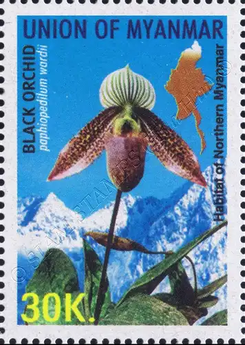 Definitive: Flora (MNH)