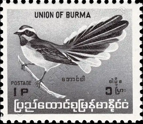 Definitive: Native Birds (I) (MNH)