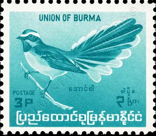 Definitive: Native Birds (I) (MNH)