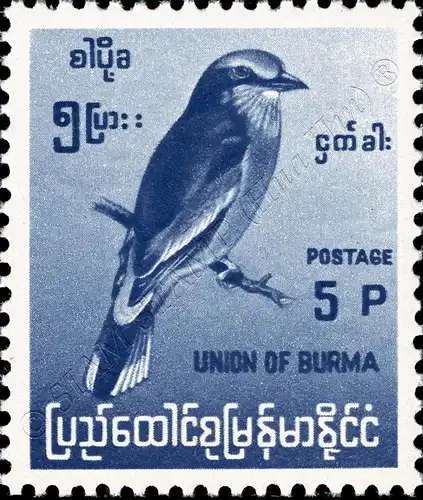 Definitive: Native Birds (I) (MNH)