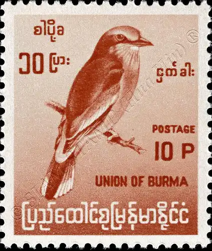 Definitive: Native Birds (I) (MNH)