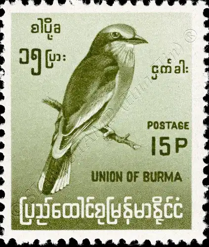 Definitive: Native Birds (I) (MNH)