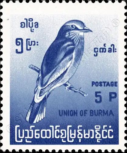 Definitive: Native Birds, Changed Image Formats (MNH)