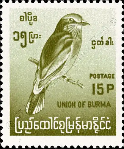 Definitive: Native Birds, Changed Image Formats (MNH)