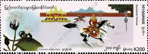 Festivals in Myanmar: Phathou (Equestrian Games) Festival (MNH)