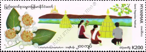 Festivals in Myanmar: Sand Pagodas Festival (MNH)