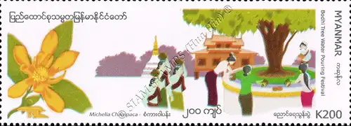 Festivals in Myanmar: Bohdi Tree Water Pouring Festival (MNH)