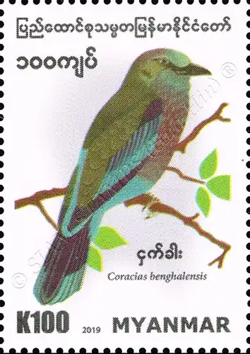 Birds in Myanmar: Indian Roller (Coracias benghalensis) (MNH)