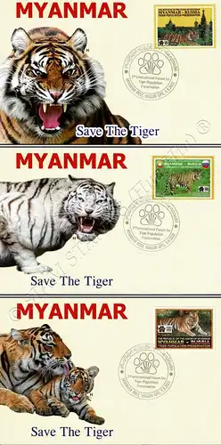 2nd International Forum for Tiger Population Preservation -MAXIMUM CARDS MC(I)-