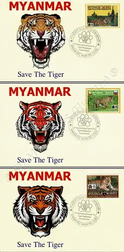 2nd International Forum for Tiger Population Preservation -MAXIMUM CARDS MC(II)-