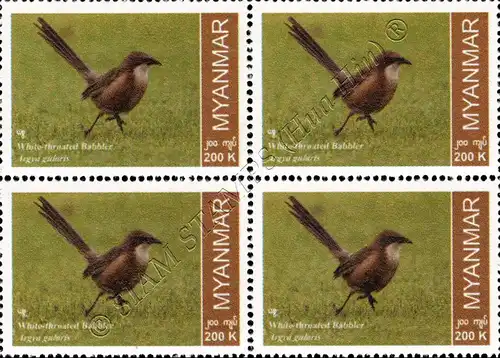 Endemic Birds: White-throated Babbler -BLOCK OF 4- (MNH)