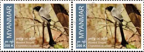 Endemic Birds: Hooded Treepie -PAIR- (MNH)