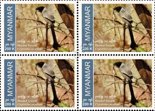 Endemic Birds: Hooded Treepie -BLOCK OF 4- (MNH)
