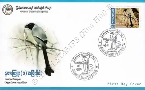 Endemic Birds: Hooded Treepie -FDC(I)-I-