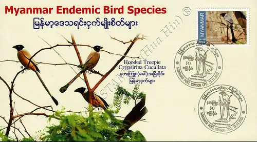 Endemic Birds: Hooded Treepie -FDC(II)-I-