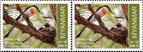 Endemic Birds: Jerdon's Minivet -PAIR- (MNH)