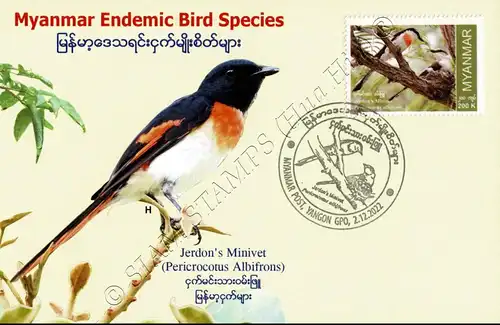 Endemic Birds: Jerdon's Minivet -MAXIMUM CARD MC(II)-