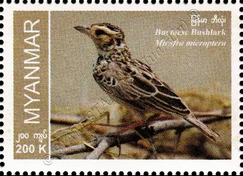 Endemic Birds: Burmese Bushlark (MNH)