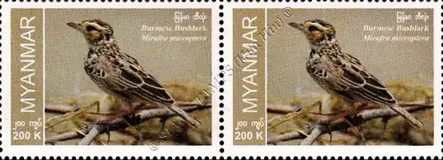 Endemic Birds: Burmese Bushlark -PAIR- (MNH)