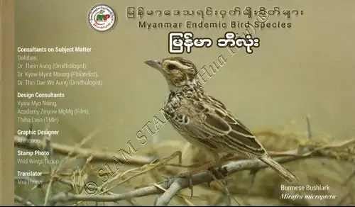 Endemic Birds: Burmese Bushlark -MAXIMUM CARD MC(I)-