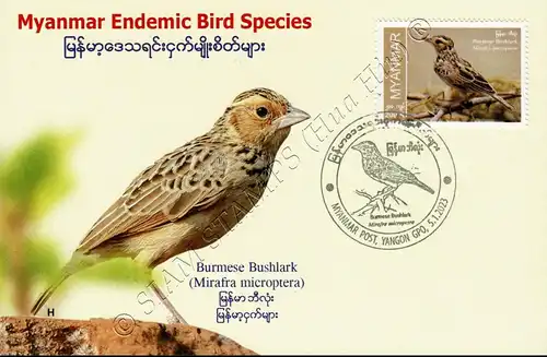 Endemic Birds: Burmese Bushlark -MAXIMUM CARD MC(II)-