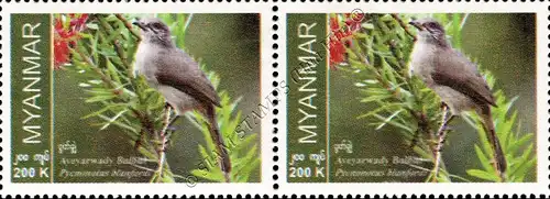 Endemic Birds: Ayeyarwady BulBul -PAIR- (MNH)