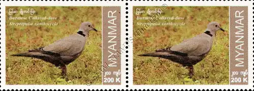 Endemic Birds: Burmese Collared-Dove -PAIR- (MNH)